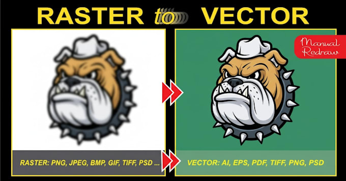 do vector tracing, image to vector in 1hr