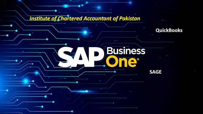 manually enter the image, PDF data, into sap b1, qb and in excel
