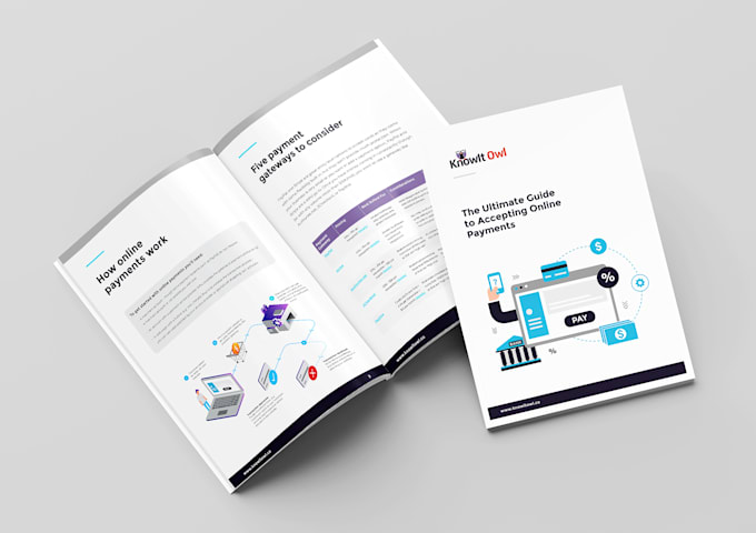 design a professional infographic and data visualization