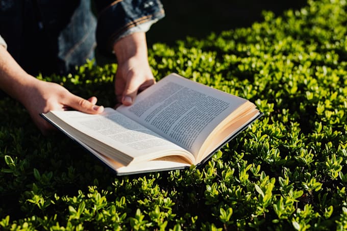 write english literature,essay, book summary, critique, review, evaluation
