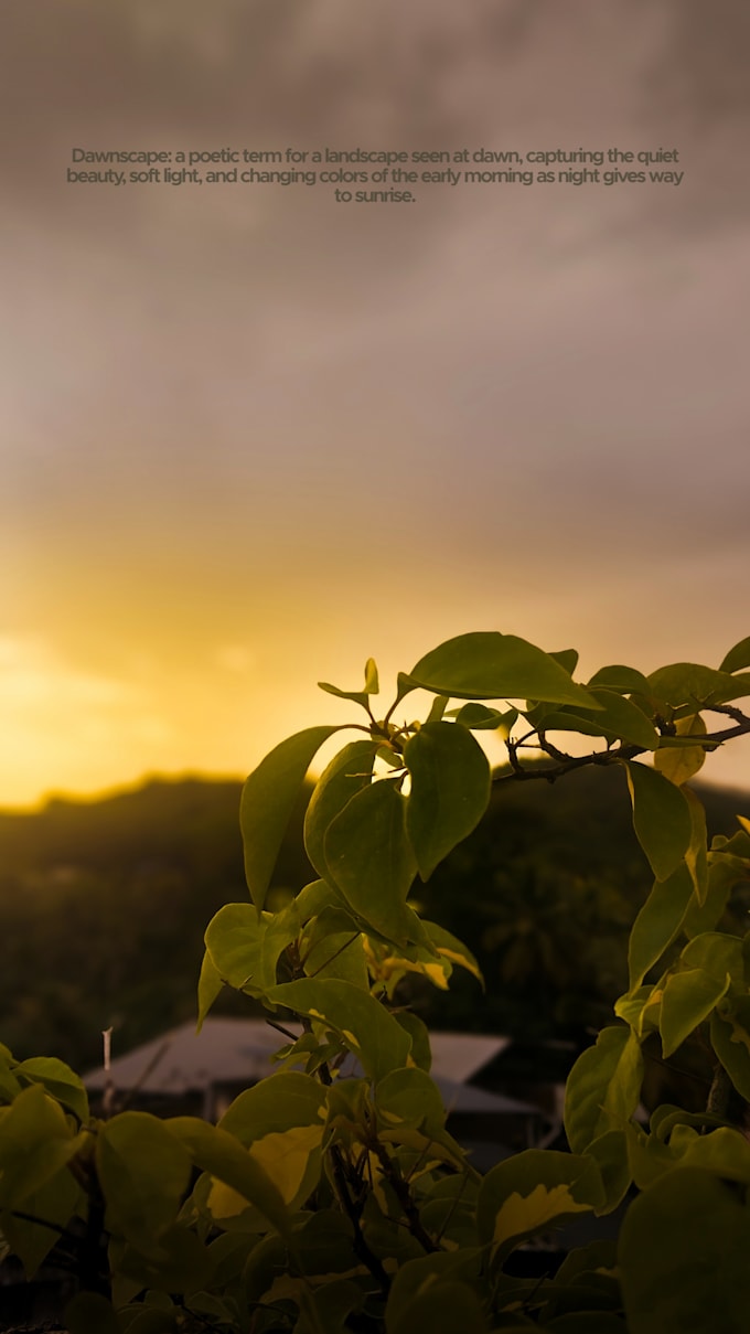 do photo editing on friendly cost