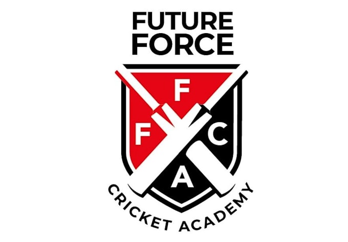 create a high quality cricket logo design
