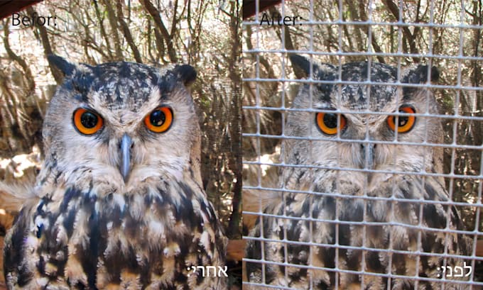 remove objects and retouch photos