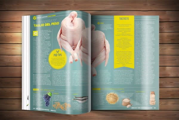 design amazing magazines and books