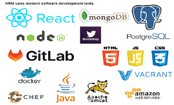 build custom software development full stack developer saas development crm saas