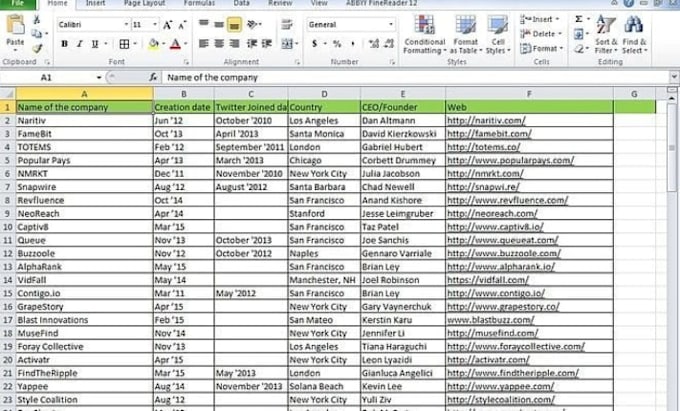 provide excel data cleaning, format, and data formatting