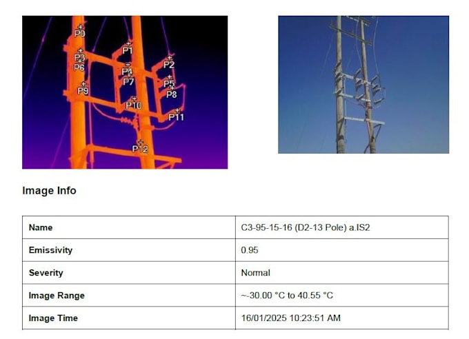 create professional thermography inspection reports