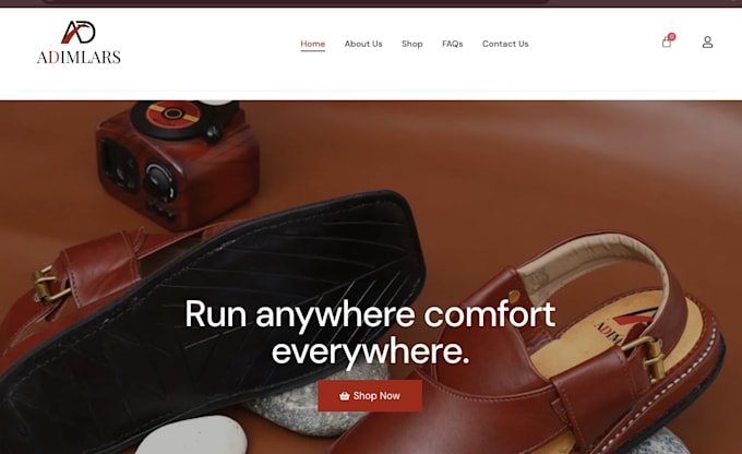 website design, wordpress website development