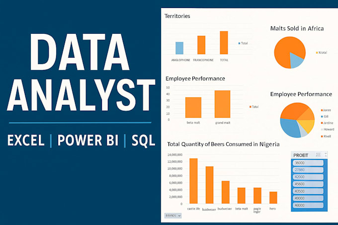 be your data visualization, data analyst, power bi expert