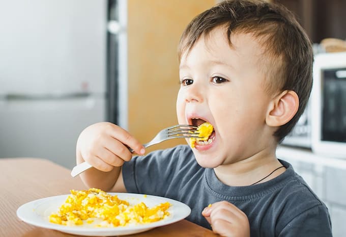provide you healthy meal plate