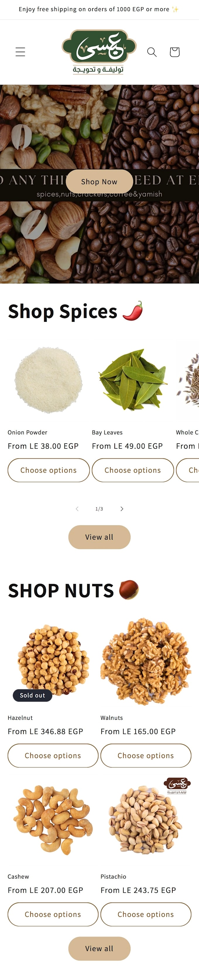 create a modern and responsive shopify website