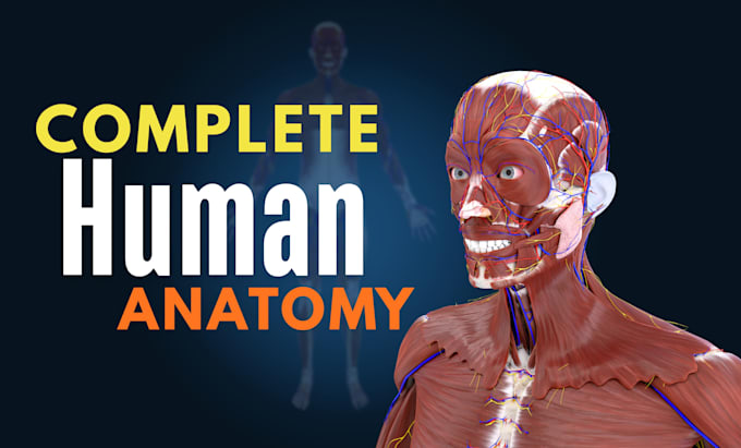 create professional 3d medical animation