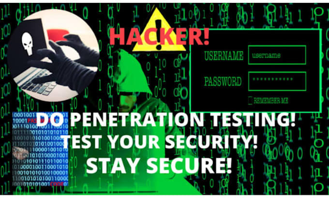 do penetration testing, detect vulnerability and do malware removal