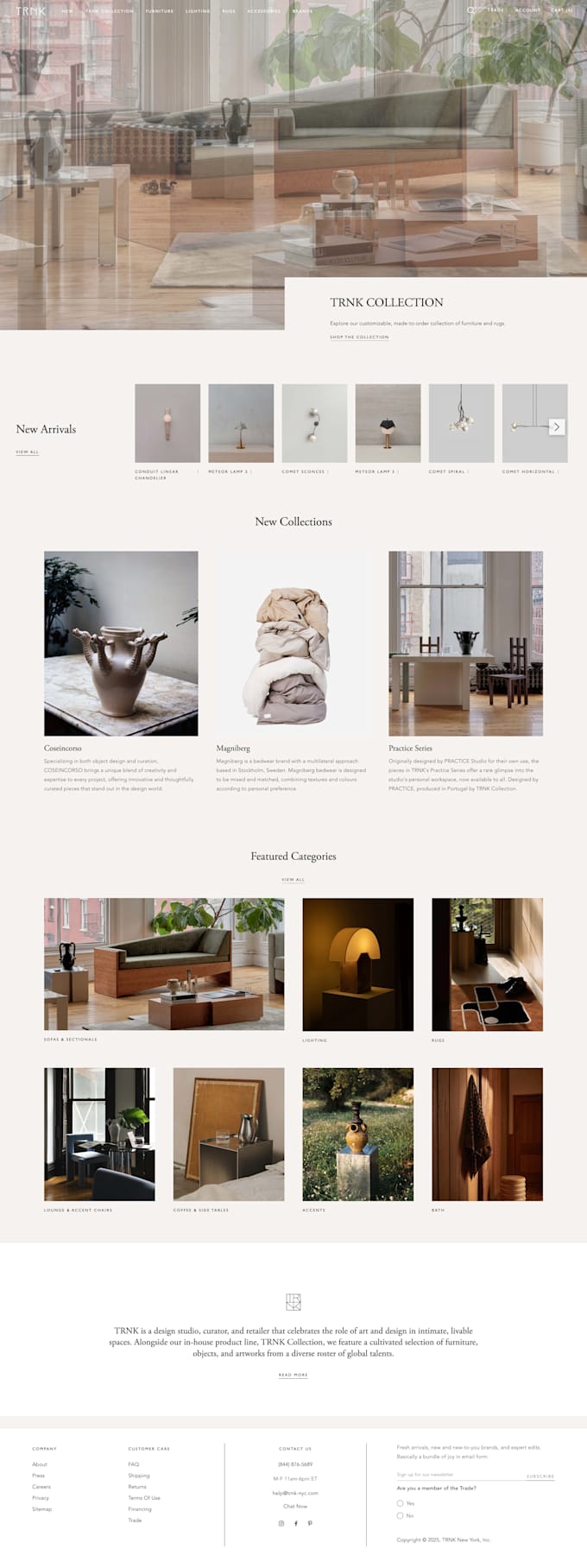 shopify custom theme development and store setup