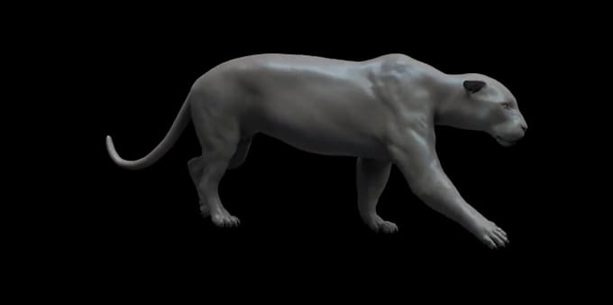 Integrate realistic 3d cgi animal animation model rig 3d animal ...