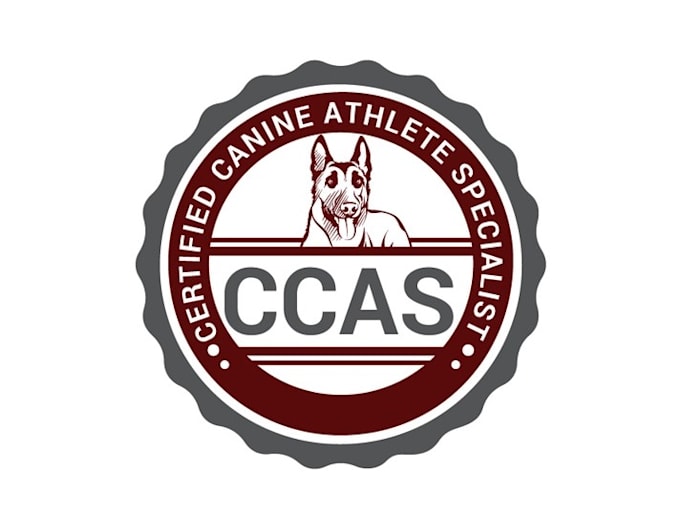 design artwork athlete trainer certification logo