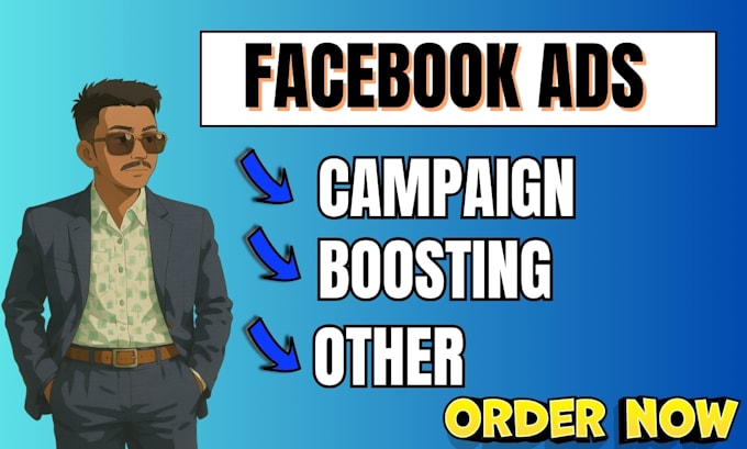 Professionally create and manage facebook ads campaign and page ...
