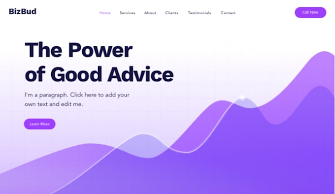 create a proffesional wordpress website