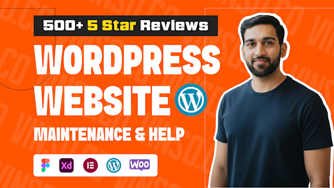 be your wordpress manager do monthly wordpress website maintenance
