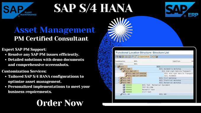 expert sap s4 hana eam pm support, customization, and training