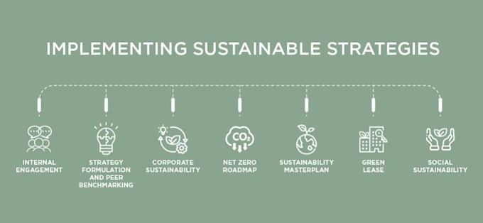 create a sustainability strategy and net zero roadmaps