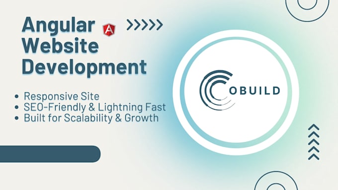 develop a professional angular website or web app