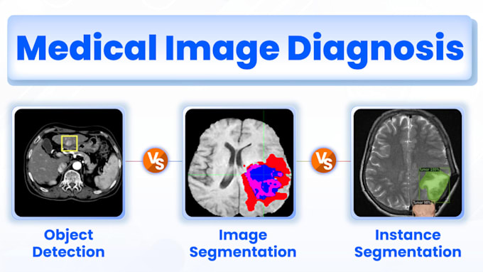 build ai model for image classification and object detection