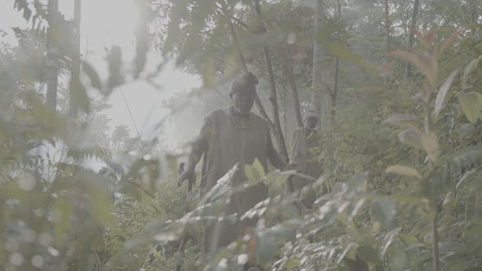 edit your video and color grade