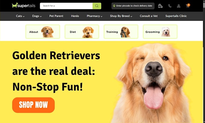design pet shopify store pet store pet  dropshipping store pet website pet store