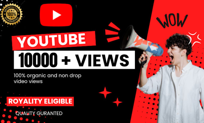 get 5000 promotion organic views on your youtube channel