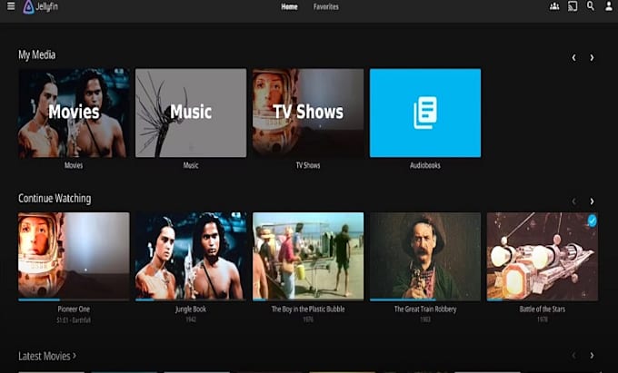 build, automate plex, jellyfin or media server on windows or dedicated website