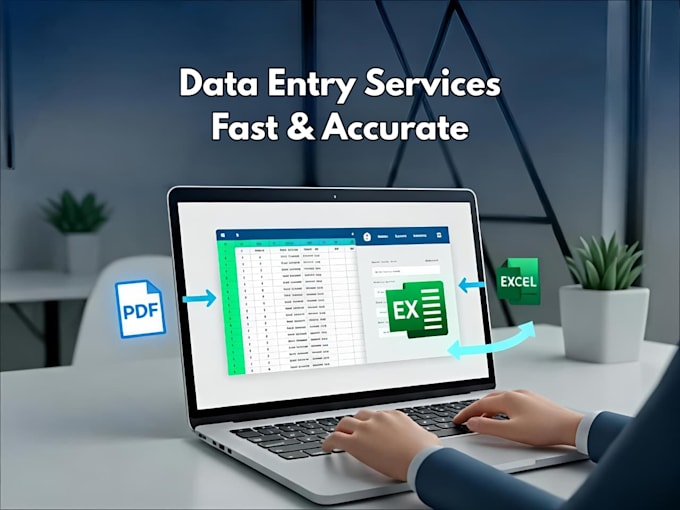 do accurate data entry from excel to website or system