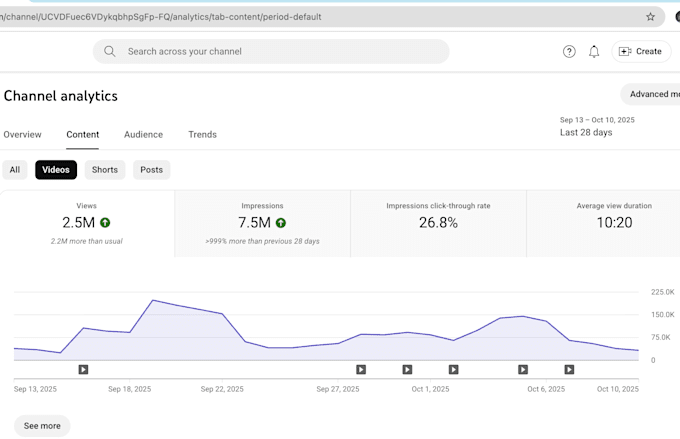 youtube channel with expert SEO strategy