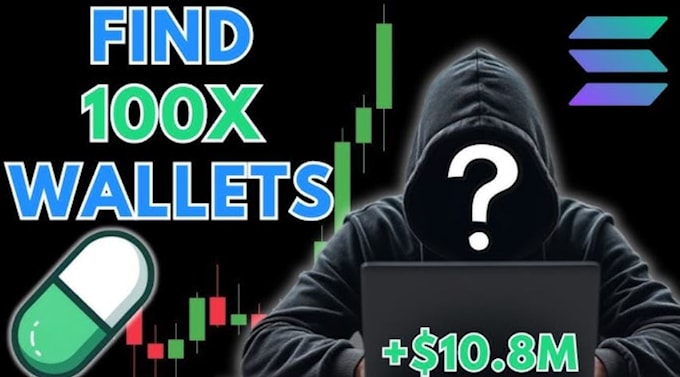 help crypto memecoins find profitable wallets to copy trade
