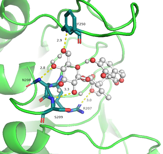 write high impact life science articles with professional quality