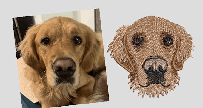 do embroidery digitizing into dst,pes,jef file in 1 hour