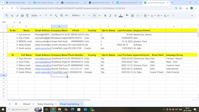 prepare verified email lists and campaign data for email marketing