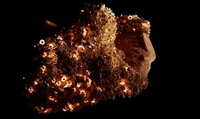 do 4k 3d abstract animation 3d loop houdini motion graphics gif animation