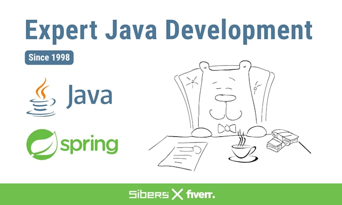 develop custom software or backend systems using java and spring