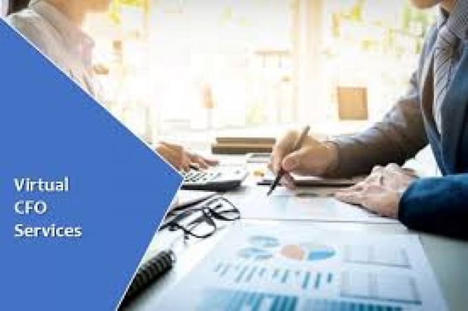 provide financial due diligence services