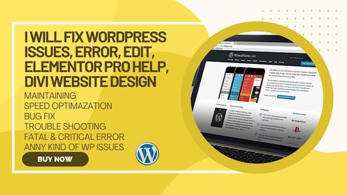 provide professional wordpress help and elementor fix