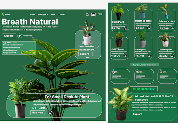 design best website for you
