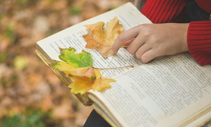 write on literature,essay,drama analysis, critical evaluation, broadcasting