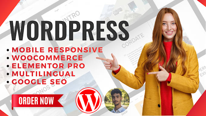 design a responsive SEO friendly wordpress website