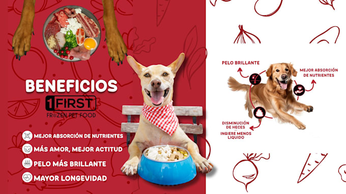diseño y armado de presentaciones
