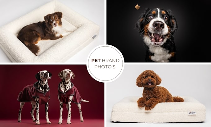 create professional pet product studio photography for dogs