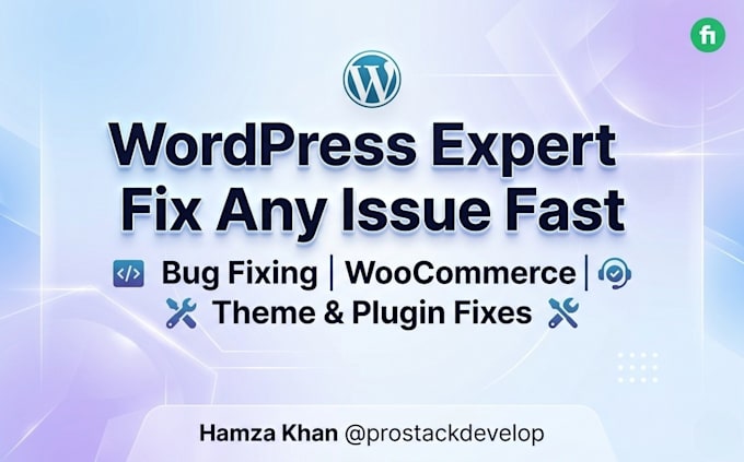 fix wordpress issues, update plugins and themes, and customize your website