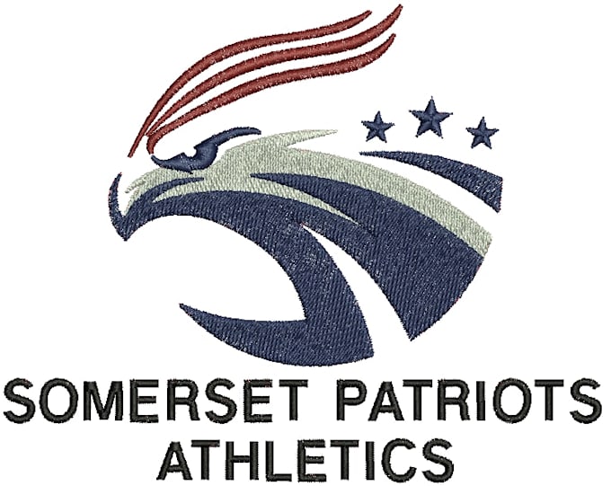 professionally digitize your logo into dst, pes, emb embroidery files