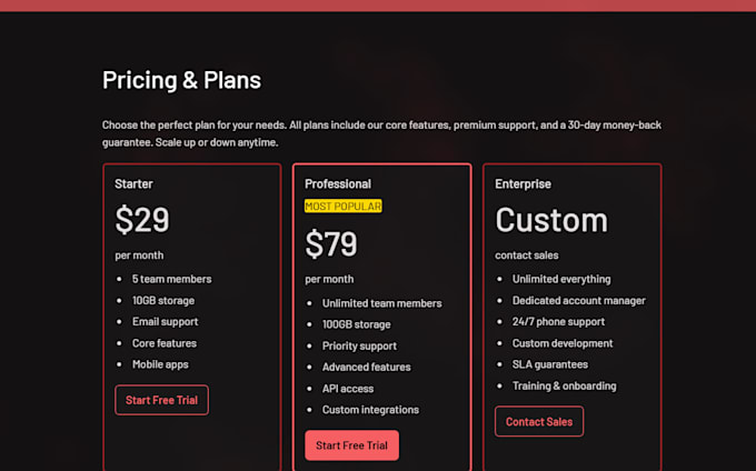 build you a website for 500dollars in 24 hours