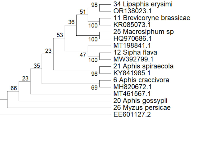 trim and make phylogenetic tree from your sequenced dna data